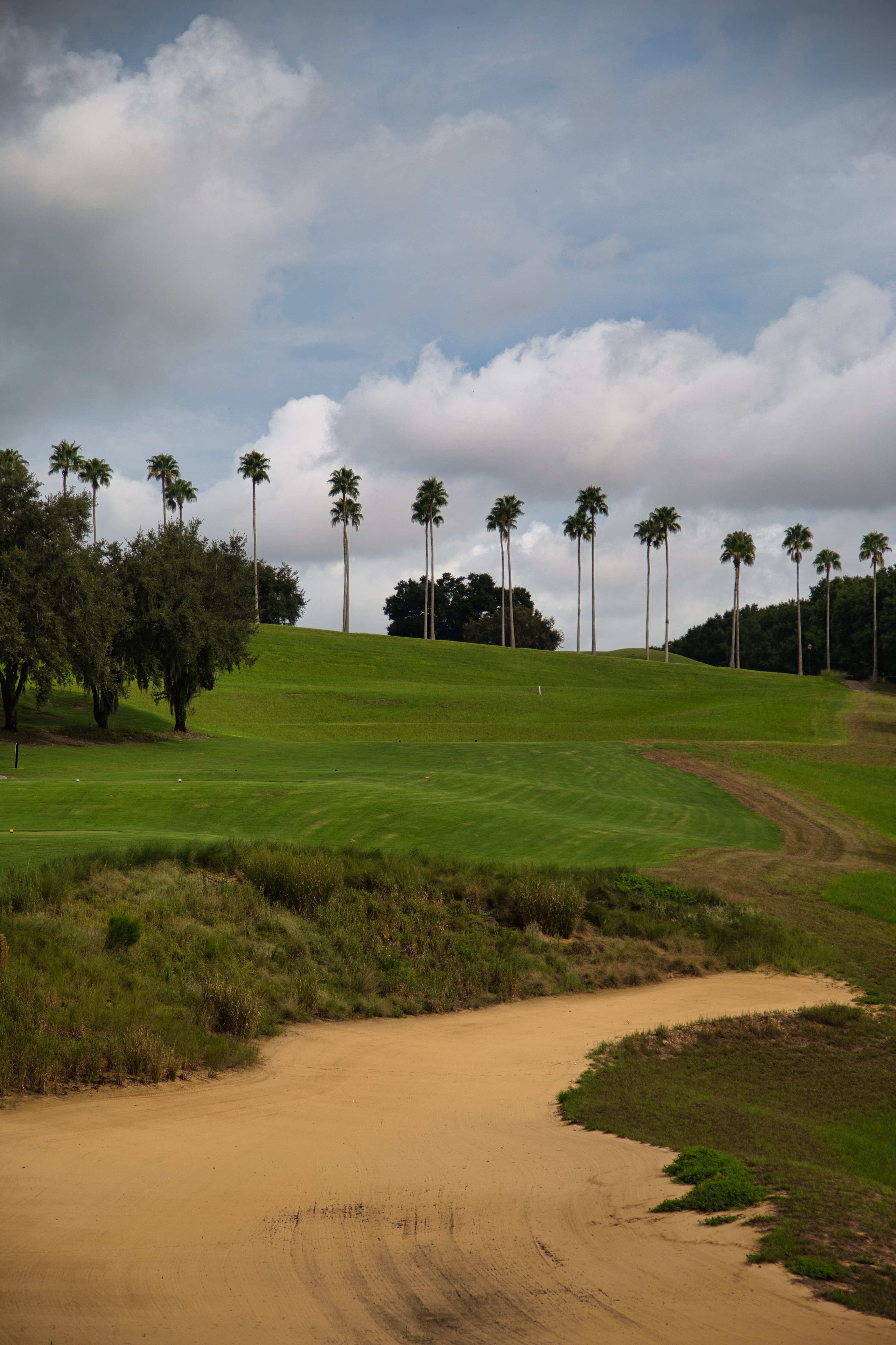Sandy waste area leading up a rolling fairway lined with palm trees