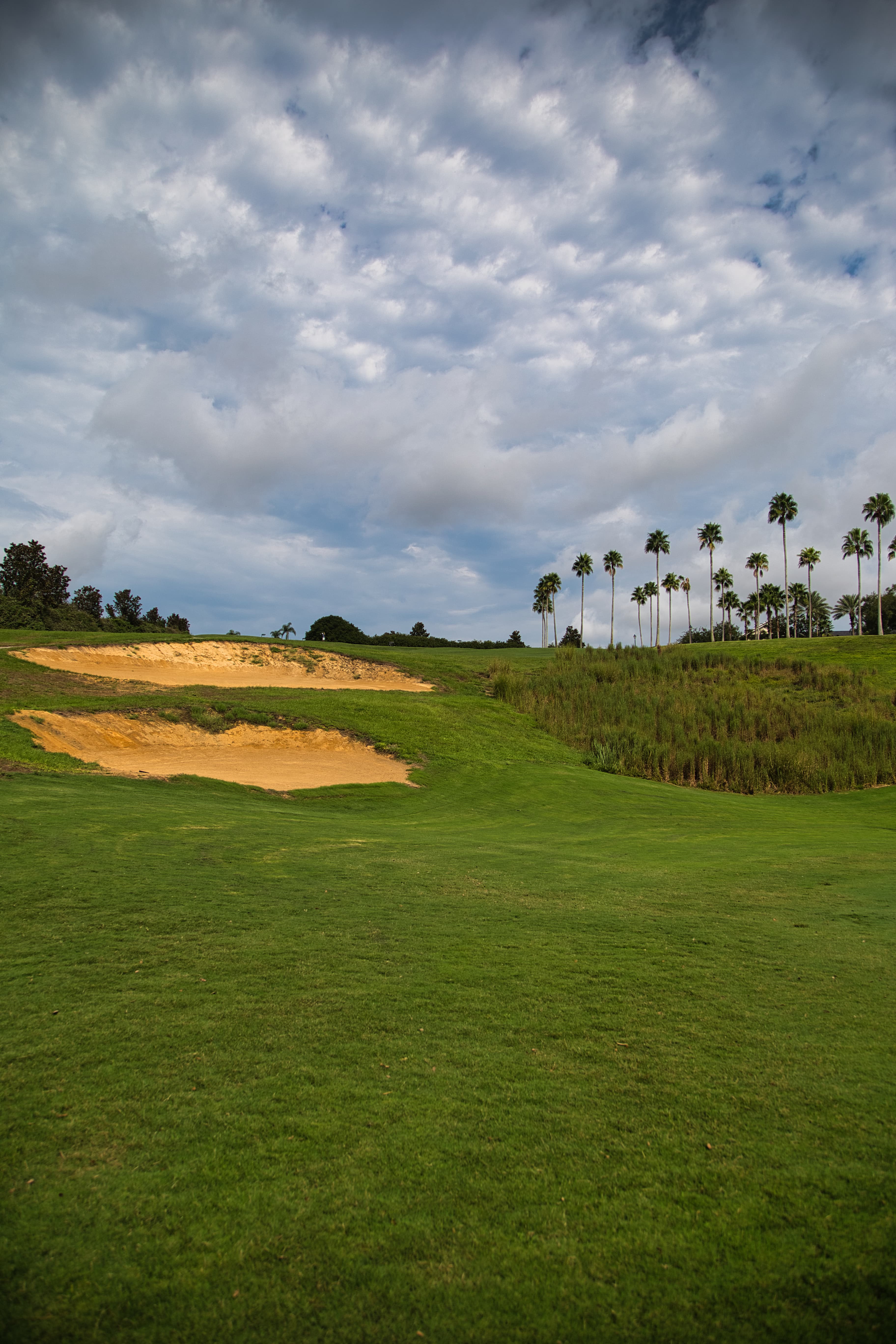 Dramatic storm clouds over the course bunkers and palm trees